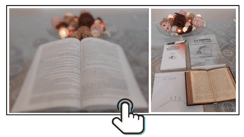 Foto della bibbia Diodati