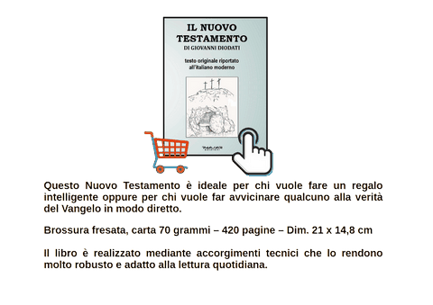Nuovo Testamento Bibbia Diodati Phasar